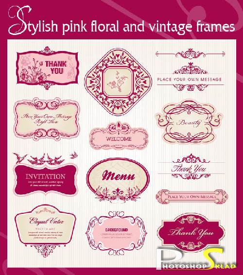 Stylish pink floral and vintage frames -  Vector material